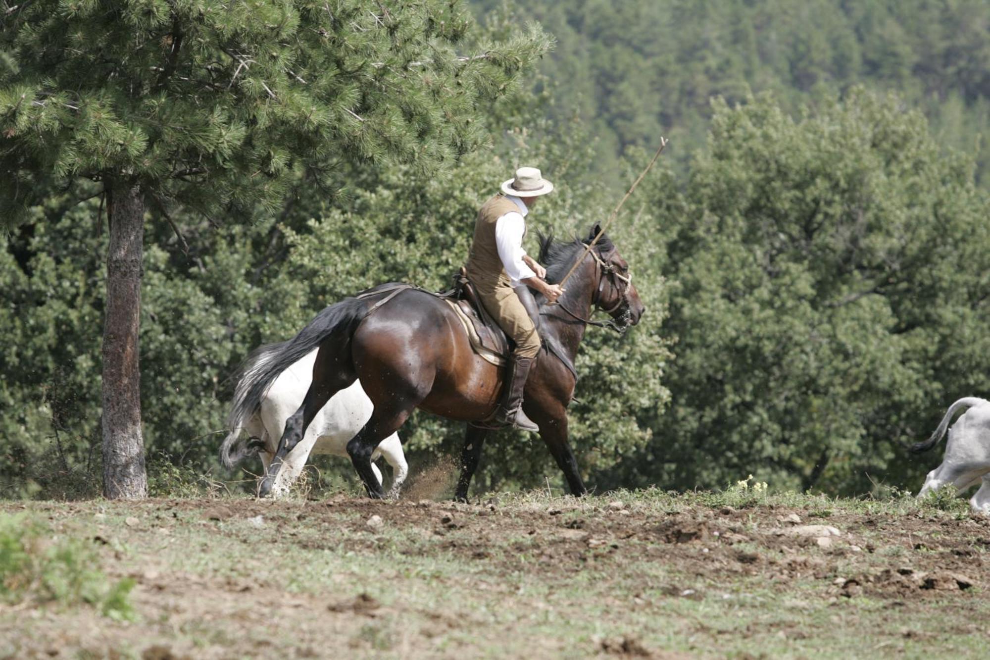Agriturismo La Forra Cavriglia Kültér fotó