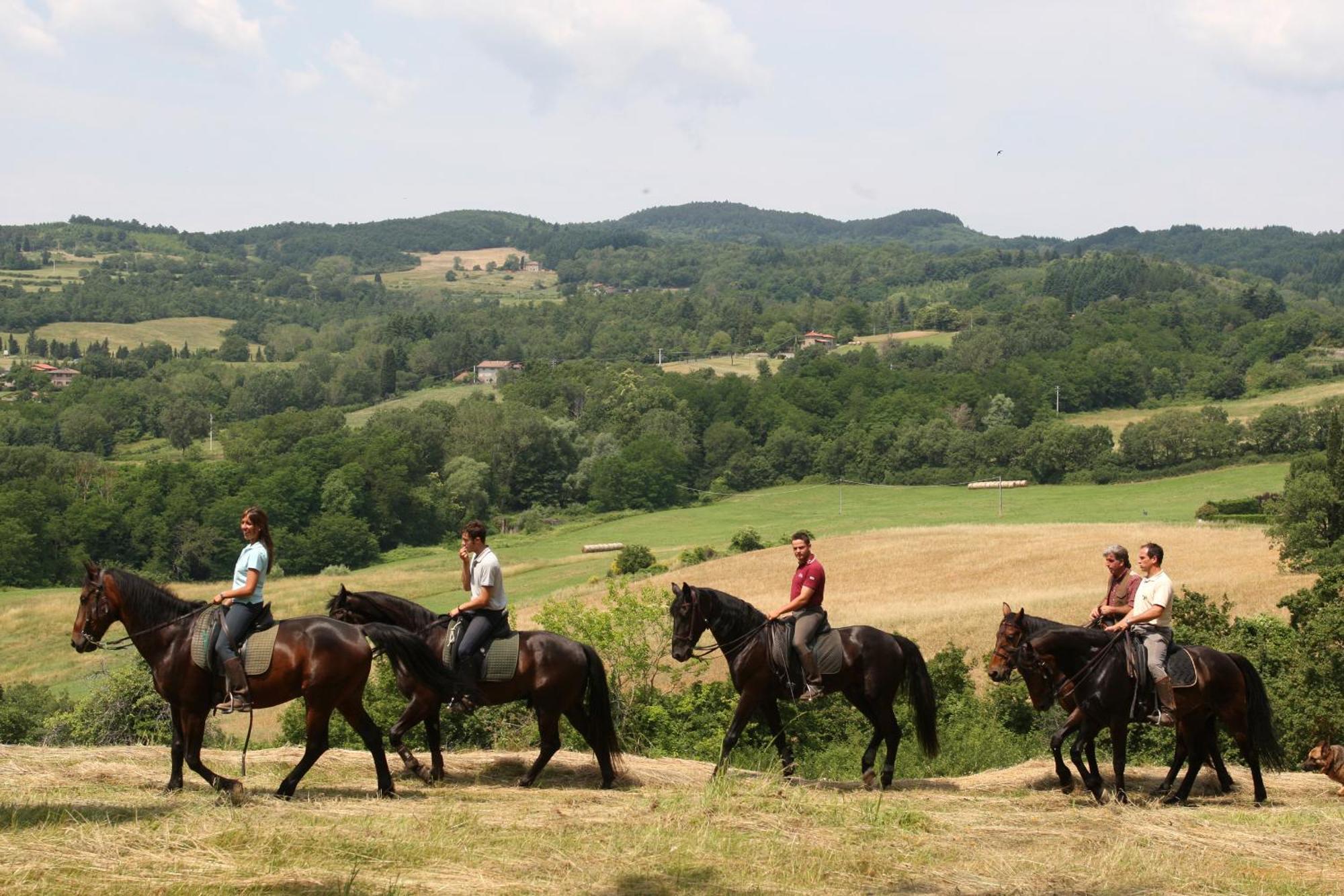 Agriturismo La Forra Cavriglia Kültér fotó