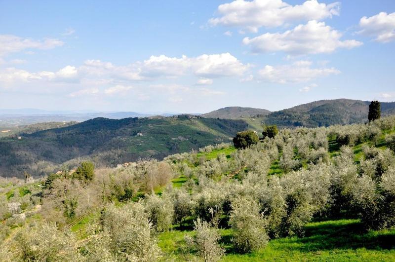 Agriturismo La Forra Cavriglia Szoba fotó