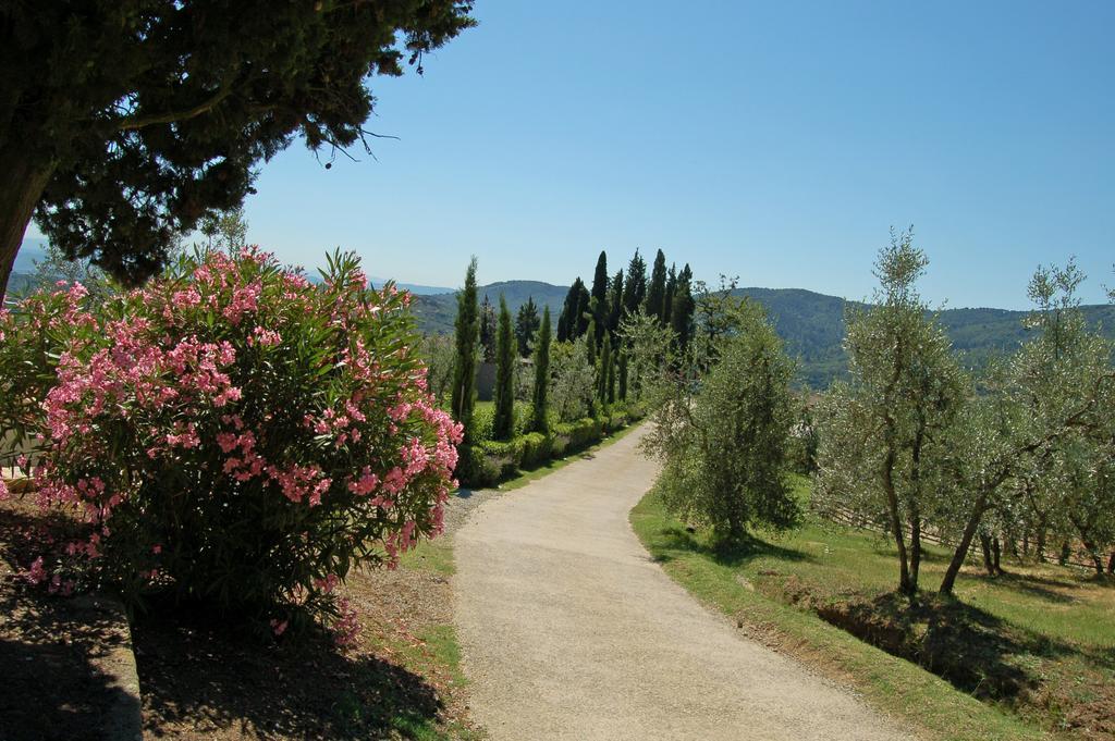 Agriturismo La Forra Cavriglia Kültér fotó